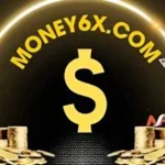 Unlocking Financial Freedom: The Money6x.com Advantage