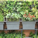 Zuhagarten: Elevating Your Green Space to New Heights